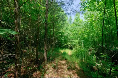 0 US Highway 601, Yadkinville, NC 27055 - Photo 10