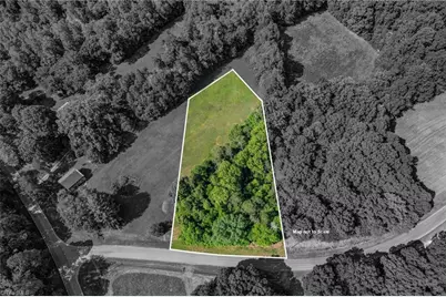 Lot 2 Henry Road, Madison, NC 27025 - Photo 1