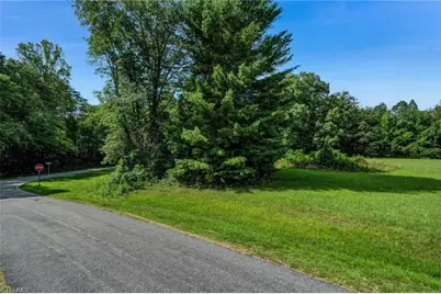 Lot 3 Henry Road, Madison, NC 27025 - Photo 4