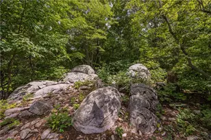 2717 Nc Hwy 49 S, Asheboro, NC 27205 - Photo 42