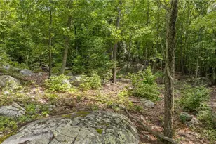 2717 Nc Hwy 49 S, Asheboro, NC 27205 - Photo 38