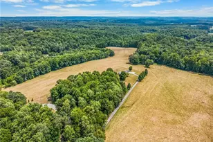 3868 Running Cedar Ln, Hamptonville, NC 27020 - Photo 4