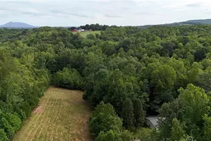 887 Bryan Rd, Westfield, NC 27053 - Photo 44