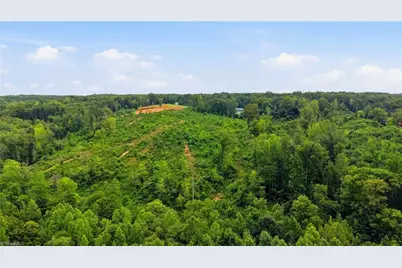 00 Valley Level Road #Parcel A, Reidsville, NC 27320 - Photo 8
