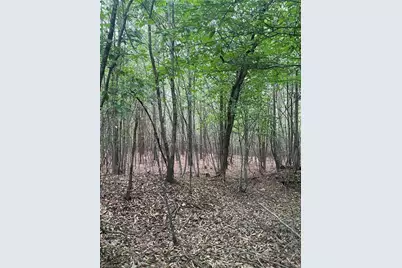 0 S Stokes School Road, Walnut Cove, NC 27052 - Photo 2