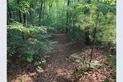 0000 N Old Nc Highway 16, Millers Creek, NC 28651 - Photo 24