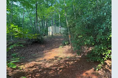 0000 N Old Nc Highway 16, Millers Creek, NC 28651 - Photo 22