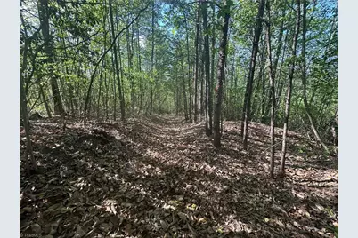 000 Nc Highway 268, Wilkesboro, NC 28697 - Photo 46