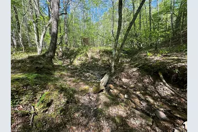 000 Nc Highway 268, Wilkesboro, NC 28697 - Photo 18