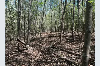 000 Nc Highway 268, Wilkesboro, NC 28697 - Photo 36