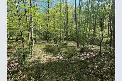 000 Nc Highway 268, Wilkesboro, NC 28697 - Photo 14