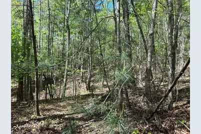 000 Nc Highway 268, Wilkesboro, NC 28697 - Photo 10