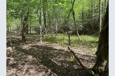 000 Nc Highway 268, Wilkesboro, NC 28697 - Photo 28