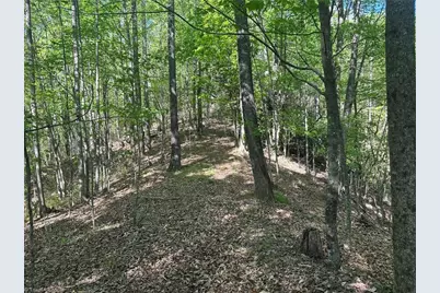 000 Nc Highway 268, Wilkesboro, NC 28697 - Photo 42
