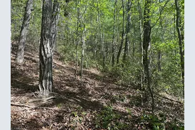 000 Nc Highway 268, Wilkesboro, NC 28697 - Photo 40