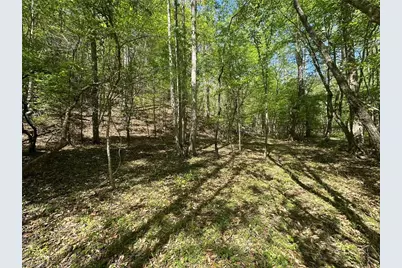 000 Nc Highway 268, Wilkesboro, NC 28697 - Photo 22