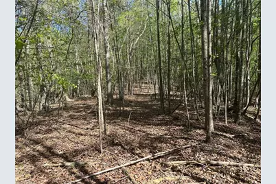 000 Nc Highway 268, Wilkesboro, NC 28697 - Photo 38