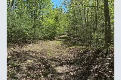 000 Nc Highway 268, Wilkesboro, NC 28697 - Photo 8