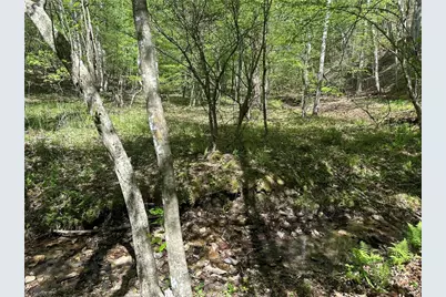 000 Nc Highway 268, Wilkesboro, NC 28697 - Photo 20