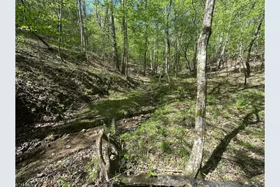 000 Nc Highway 268, Wilkesboro, NC 28697 - Photo 24