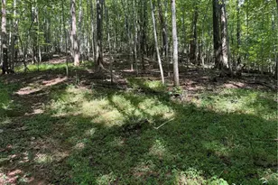 00 McCarther Rd, Mount Airy, NC 27031 - Photo 22