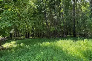 00 McCarther Rd, Mount Airy, NC 27031 - Photo 12