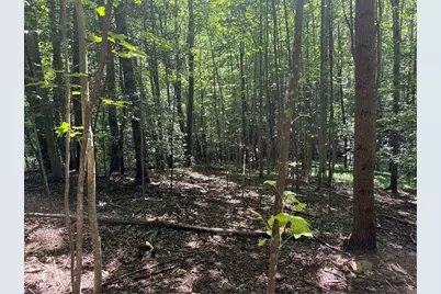 00 McCarther Road #2, Mount Airy, NC 27031 - Photo 20