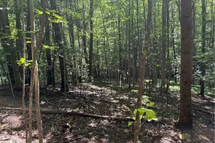 00 McCarther Rd, Mount Airy, NC 27031 - Photo 20