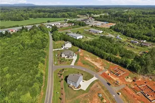 110 Levington Wy, Stokesdale, NC 27357 - Photo 46