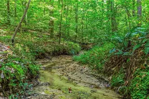 7150 Belews Run Rd, Belews Creek, NC 27052 - Photo 50