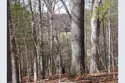 Tbd Happy Woods Road, Piney Creek, NC 28631 - Photo 8