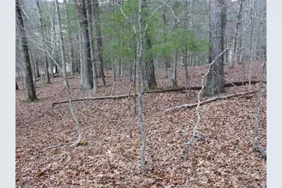 Tbd Happy Woods Road, Piney Creek, NC 28631 - Photo 4