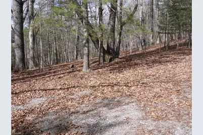 Tbd Happy Woods Road, Piney Creek, NC 28631 - Photo 6