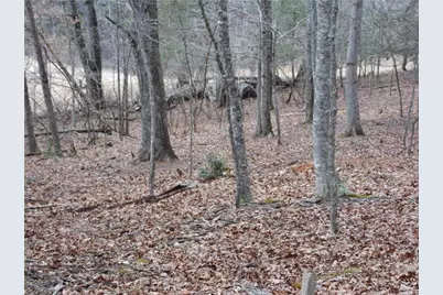 Tbd Happy Woods Road, Piney Creek, NC 28631 - Photo 20