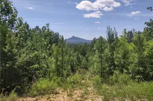 0 Pine Tree Dr, Pinnacle, NC 27043 - Photo 1