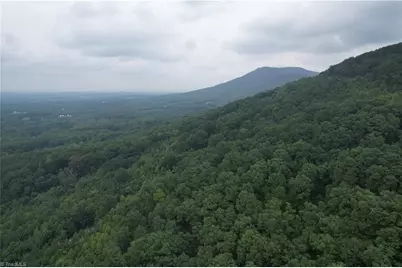 0 Pine Tree Drive, Pinnacle, NC 27043 - Photo 2