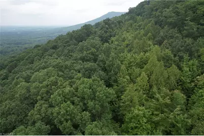 0 Pine Tree Drive, Pinnacle, NC 27043 - Photo 4