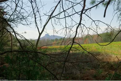 4 Old Mill Road, Pinnacle, NC 27043 - Photo 2
