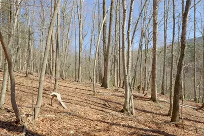 4 Old Mill Road, Pinnacle, NC 27043 - Photo 8