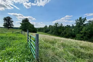 300 Tom Hunter Rd, Pilot Mountain, NC 27041 - Photo 48