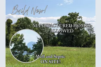 166 Springfield Road, Pilot Mountain, NC 27041 - Photo 1
