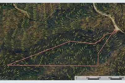 Lot 222 Casey Mountain Road, Purlear, NC 28665 - Photo 8