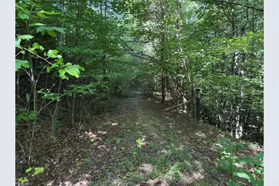 Lot 222 Casey Mountain Road, Purlear, NC 28665 - Photo 2