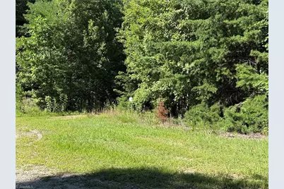 Lot 222 Casey Mountain Road, Purlear, NC 28665 - Photo 6