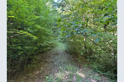 Lot 222 Casey Mountain Road, Purlear, NC 28665 - Photo 4