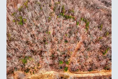 Tbd Ivy Green Trail, Lowgap, NC 27024 - Photo 6