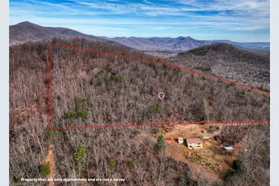 Tbd Ivy Green Trail, Lowgap, NC 27024 - Photo 1