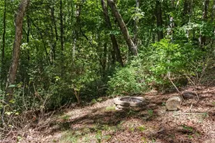 157 Wolf Trail, McGrady, NC 28649 - Photo 22