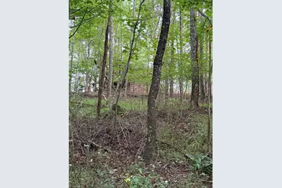 00 Locust Grove Road #67, Westfield, NC 27053 - Photo 14