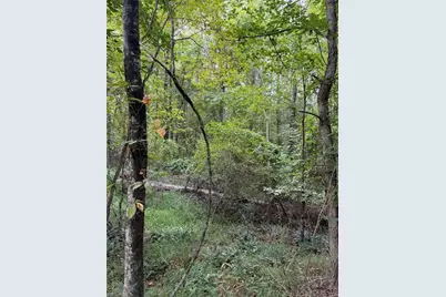 00 Locust Grove Road #67, Westfield, NC 27053 - Photo 18